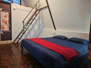 WhatsApp Image 2025-01-19 at 21.31.56_16b12f9d